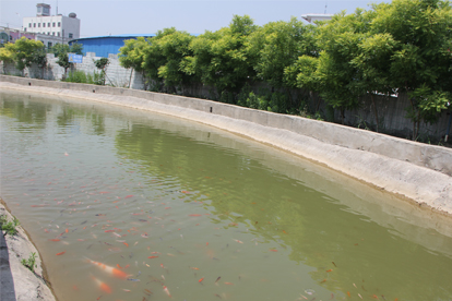 地礦駕校環(huán)境舒適、學(xué)車方便
